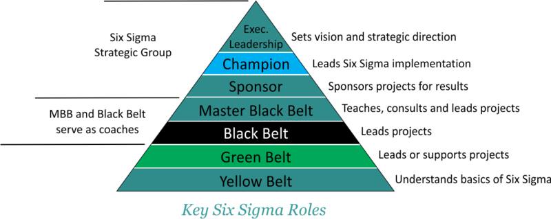 key six sigma roles