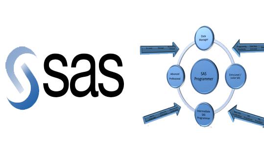 sas in big data